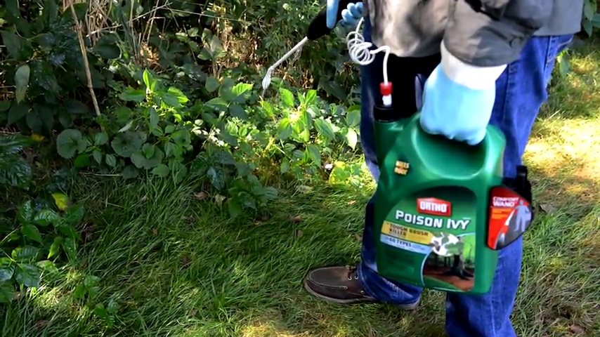 Amazon.com : The Scotts Ortho Max Poison Ivy Tough Brush Killer